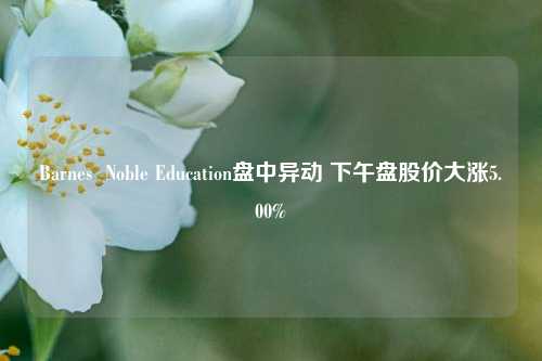 Barnes  Noble Education盘中异动 下午盘股价大涨5.00%