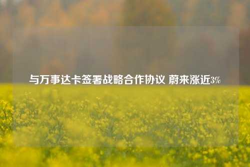 与万事达卡签署战略合作协议 蔚来涨近3%