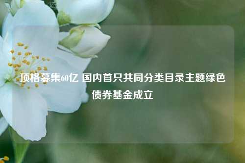 顶格募集60亿 国内首只共同分类目录主题绿色债券基金成立