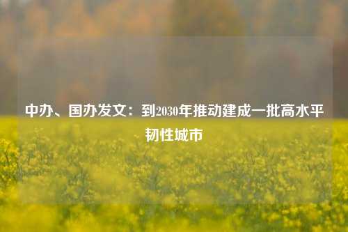 中办、国办发文：到2030年推动建成一批高水平韧性城市