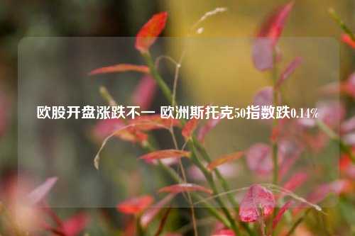 欧股开盘涨跌不一 欧洲斯托克50指数跌0.14%