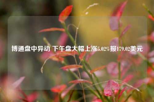 博通盘中异动 下午盘大幅上涨5.02%报179.02美元