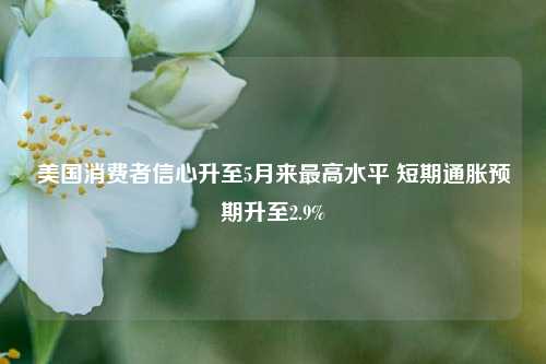 美国消费者信心升至5月来最高水平 短期通胀预期升至2.9%