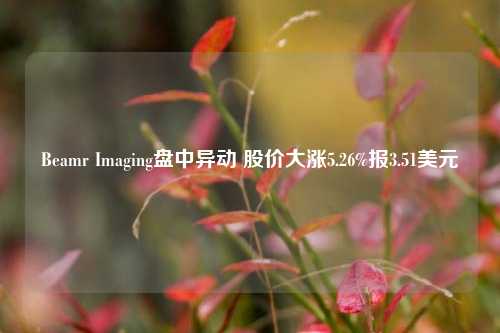 Beamr Imaging盘中异动 股价大涨5.26%报3.51美元