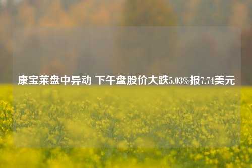 康宝莱盘中异动 下午盘股价大跌5.03%报7.74美元