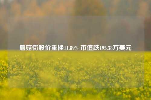 蘑菇街股价重挫11.89% 市值跌195.38万美元