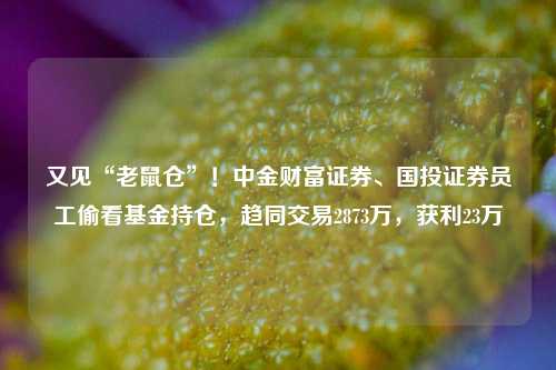 又见“老鼠仓”！中金财富证券、国投证券员工偷看基金持仓，趋同交易2873万，获利23万