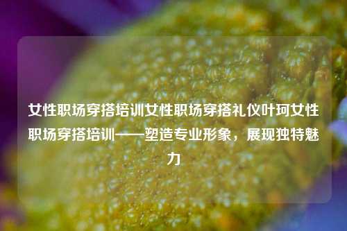 女性职场穿搭培训女性职场穿搭礼仪叶珂女性职场穿搭培训——塑造专业形象，展现独特魅力