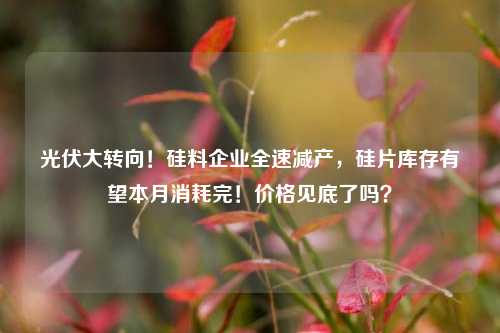 光伏大转向！硅料企业全速减产，硅片库存有望本月消耗完！价格见底了吗？