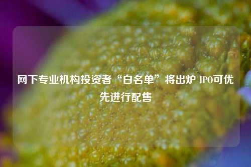 网下专业机构投资者“白名单”将出炉 IPO可优先进行配售