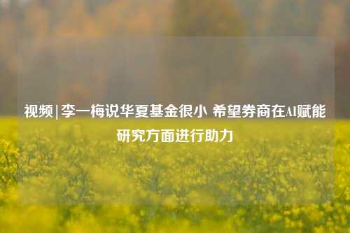 视频|李一梅说华夏基金很小 希望券商在AI赋能研究方面进行助力