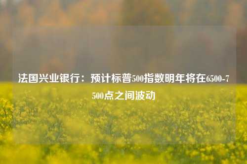 法国兴业银行：预计标普500指数明年将在6500-7500点之间波动