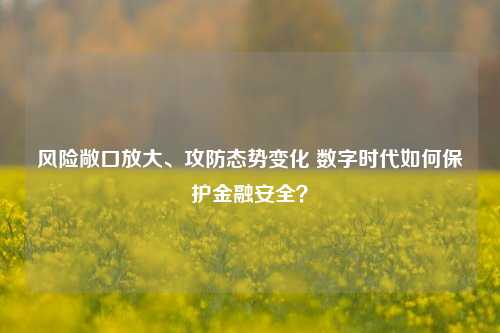 风险敞口放大、攻防态势变化 数字时代如何保护金融安全？