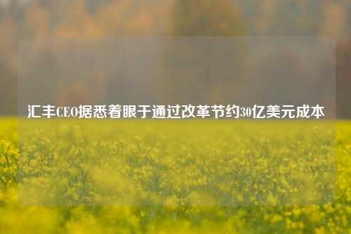 汇丰CEO据悉着眼于通过改革节约30亿美元成本