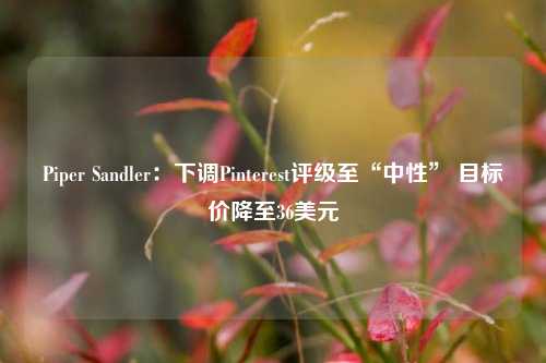 Piper Sandler：下调Pinterest评级至“中性” 目标价降至36美元