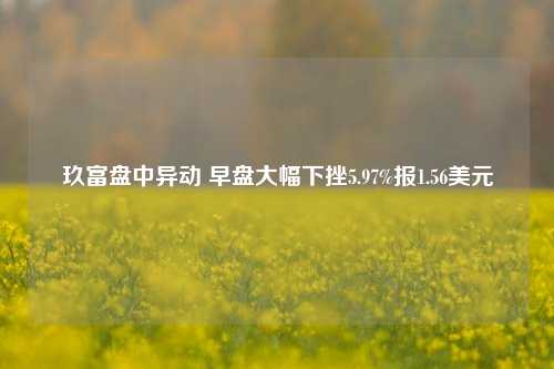 玖富盘中异动 早盘大幅下挫5.97%报1.56美元