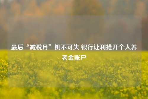 最后“减税月”机不可失 银行让利抢开个人养老金账户