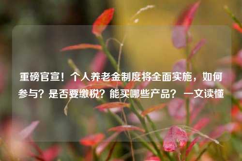 重磅官宣！个人养老金制度将全面实施，如何参与？是否要缴税？能买哪些产品？ 一文读懂