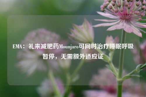 EMA：礼来减肥药Mounjaro可同时治疗睡眠呼吸暂停，无需额外适应证