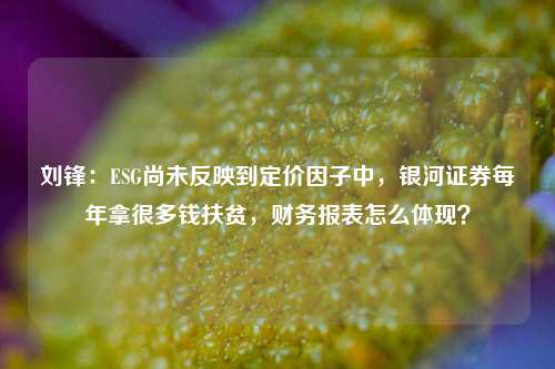 刘锋：ESG尚未反映到定价因子中，银河证券每年拿很多钱扶贫，财务报表怎么体现？