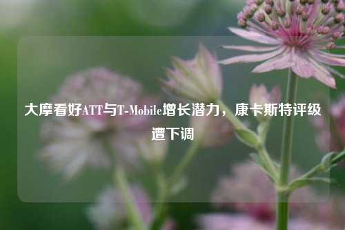 大摩看好ATT与T-Mobile增长潜力，康卡斯特评级遭下调