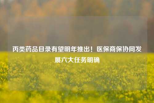 丙类药品目录有望明年推出！医保商保协同发展六大任务明确