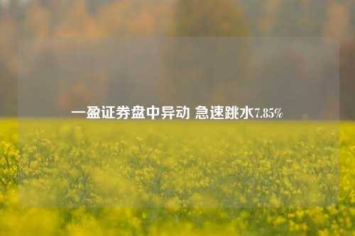 一盈证券盘中异动 急速跳水7.85%