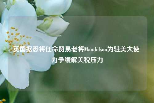 英国据悉将任命贸易老将Mandelson为驻美大使 力争缓解关税压力